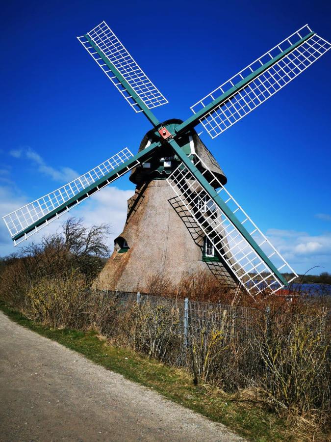 Mein-Ostseeplaetzchen Niesgrau Luaran gambar